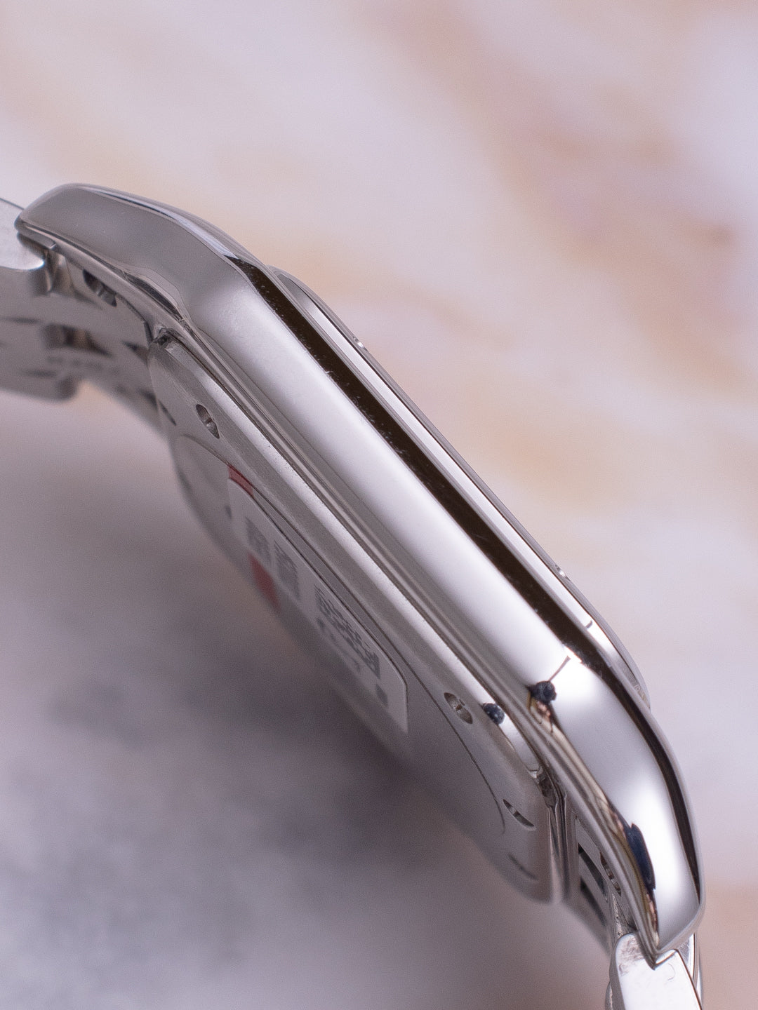 CARTIER PANTHÈRE STEEL