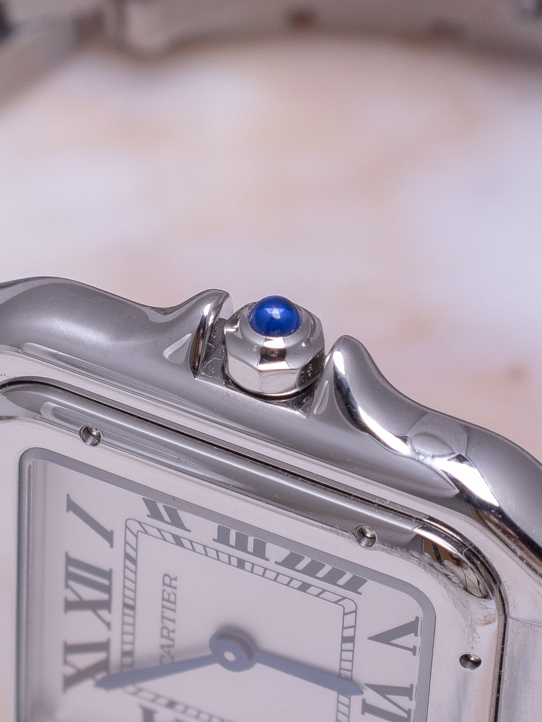 CARTIER PANTHÈRE STEEL