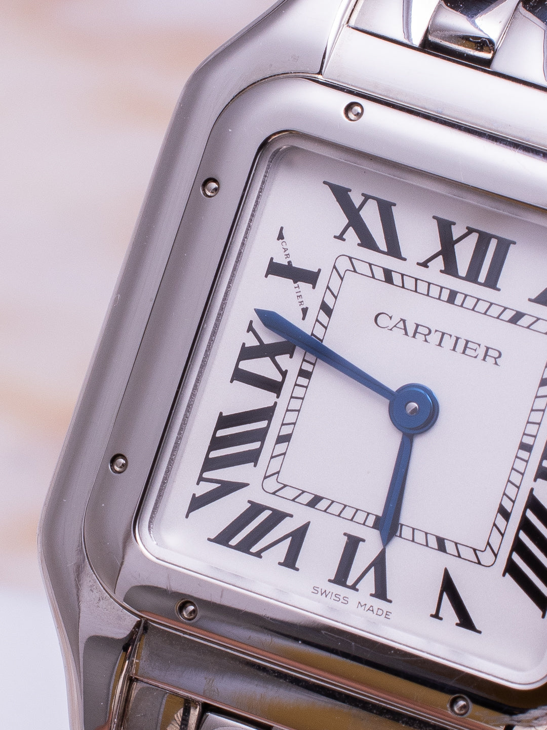CARTIER PANTHÈRE STEEL