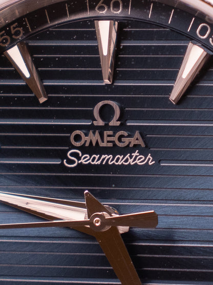 OMEGA SEAMASTER AQUA TERRA