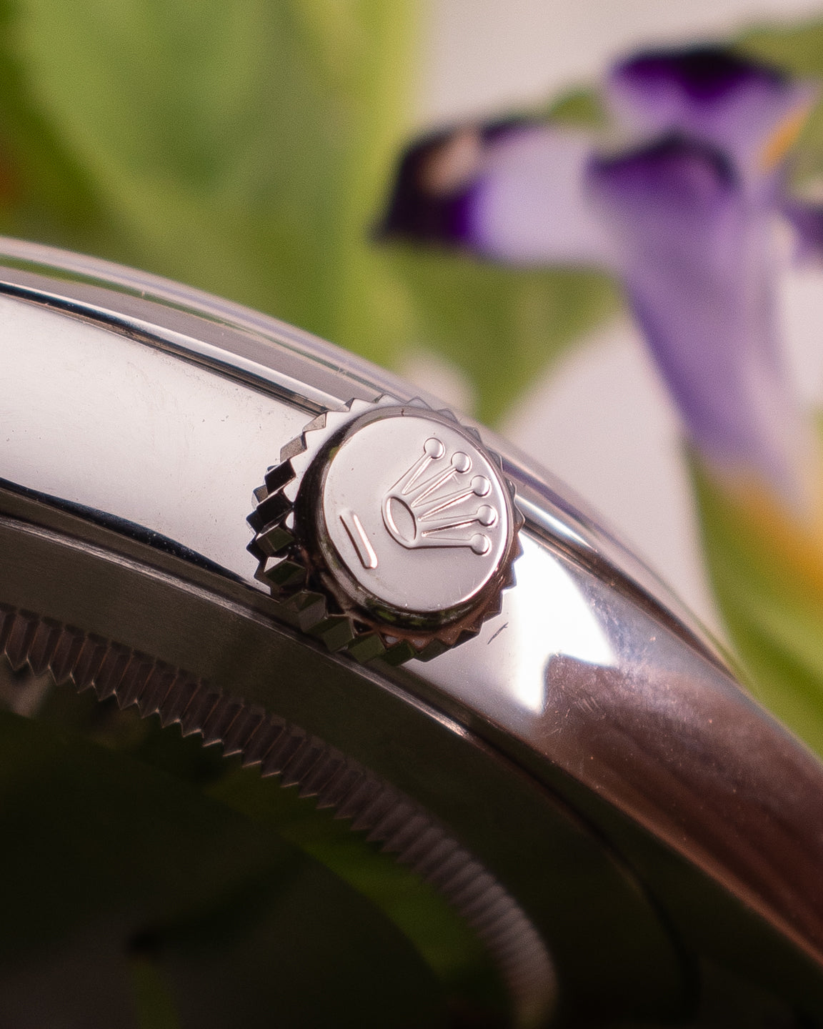 ROLEX OYSTER PERPETUAL LAVENDER